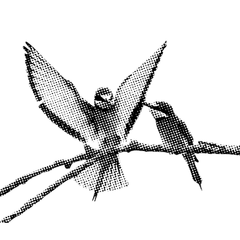 tpoy-integration tpoy-integration