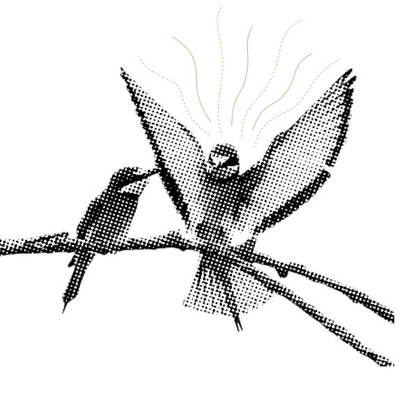 tpoy-wte-integration tpoy-wte-integration