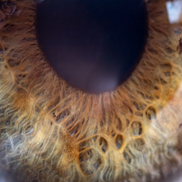 reccs-books-nonduality-and-awakening