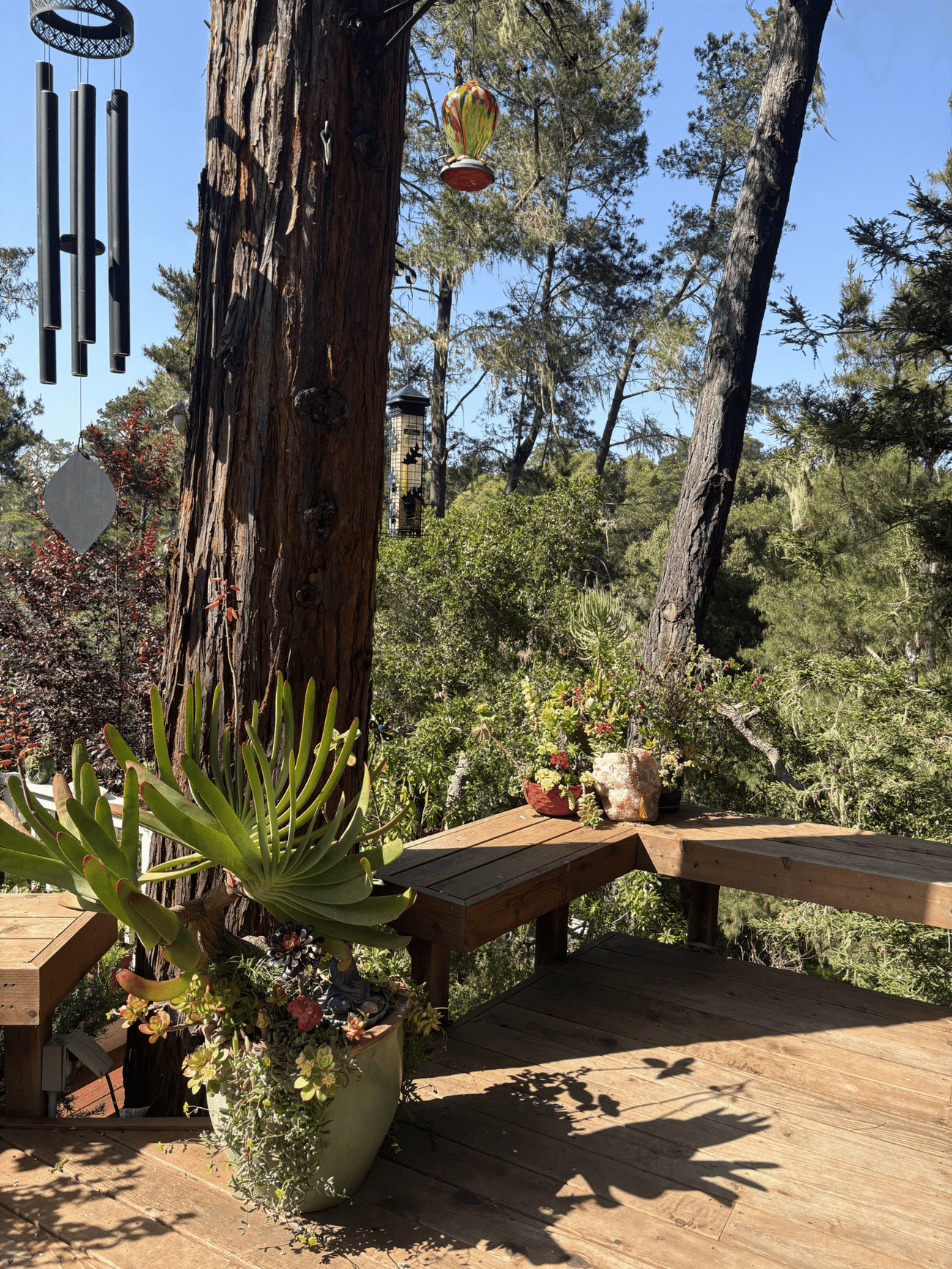 tpoy-the-setting-gallery-1 tpoy-the-setting-gallery-1