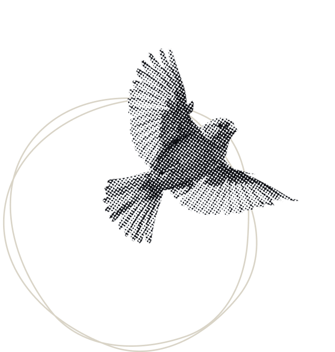 tpoy-wte-experience-featured tpoy-wte-experience-featured