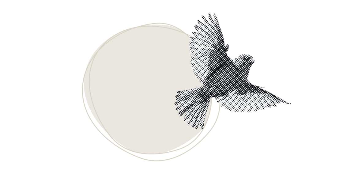 tpoy-wte-experience-inline tpoy-wte-experience-inline