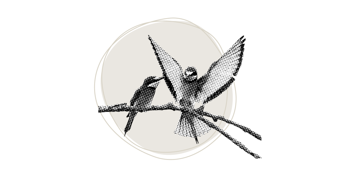 tpoy-wte-integration-inline