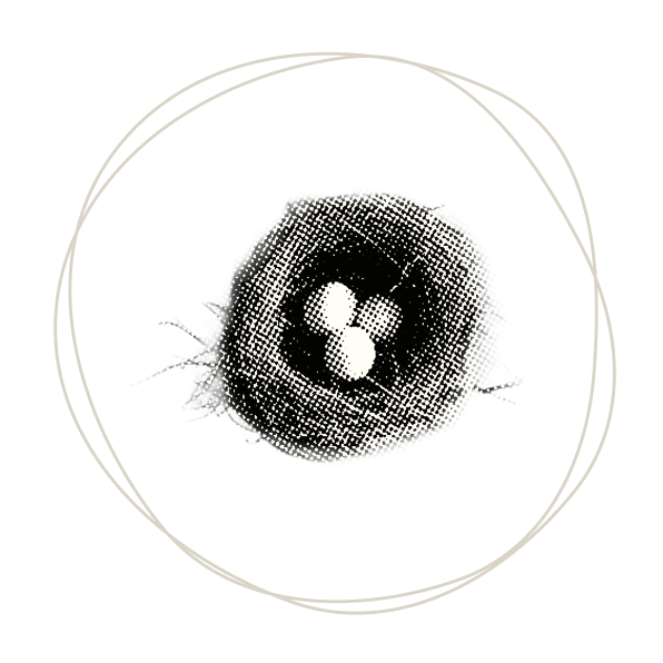 tpoy-wte-preparation-featured tpoy-wte-preparation-featured